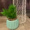 Thumbnail: Faux succulent in iridescent ceramic planter
