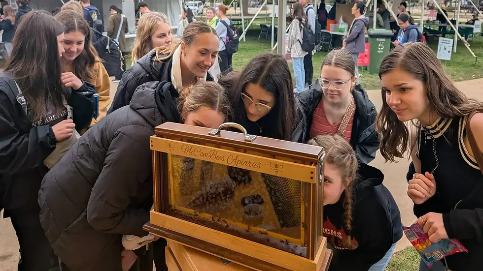 hero_1600x900 (1).webp