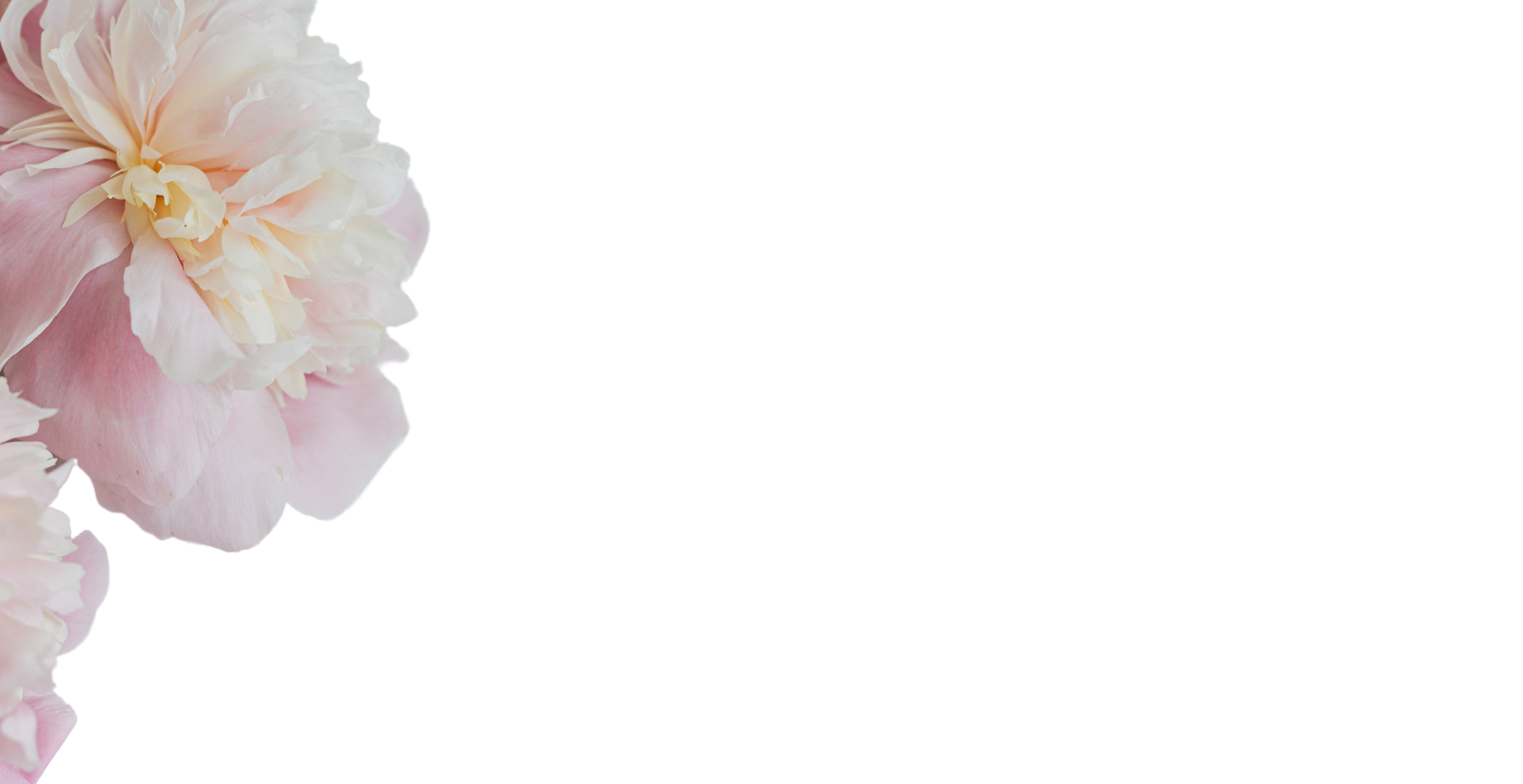 Sales Banner-2.png