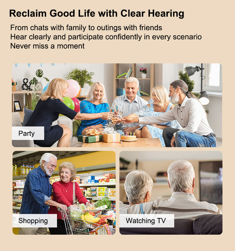 Thumbnail: Rechargeable Hearing Aids  for Seniors HA003