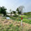 Thumbnail: PL0164 ที่บึงกอก