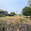 Thumbnail: PL0209 บ้านศรีภิรมย์