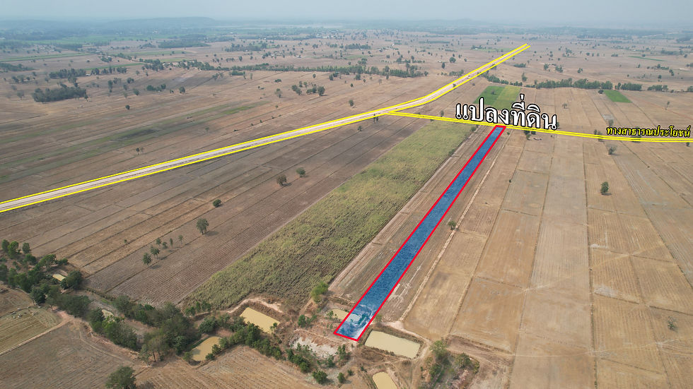 Thumbnail: PL19 ที่ดงประคำ