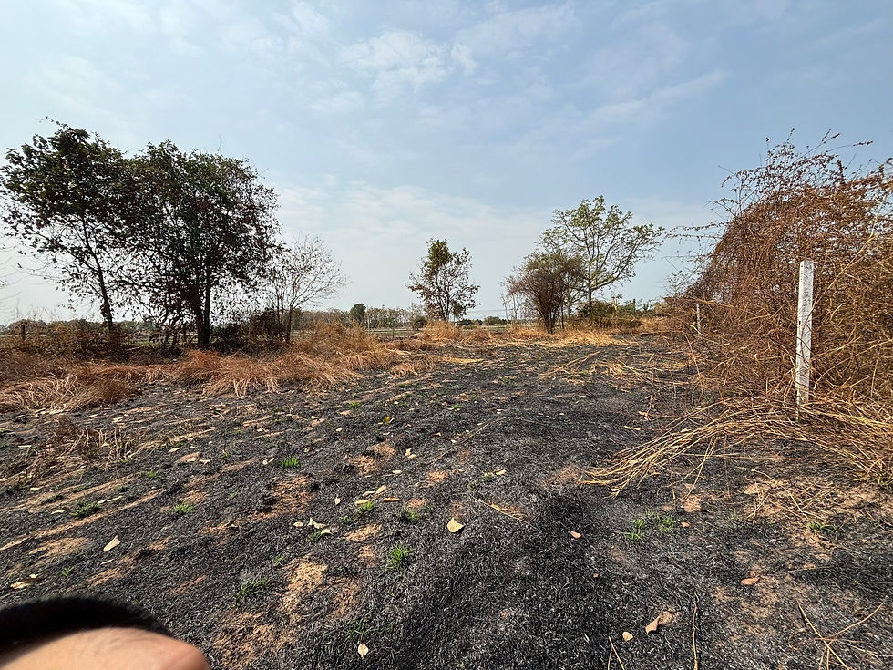 Thumbnail: PL0256ที่ทับยายเชียง