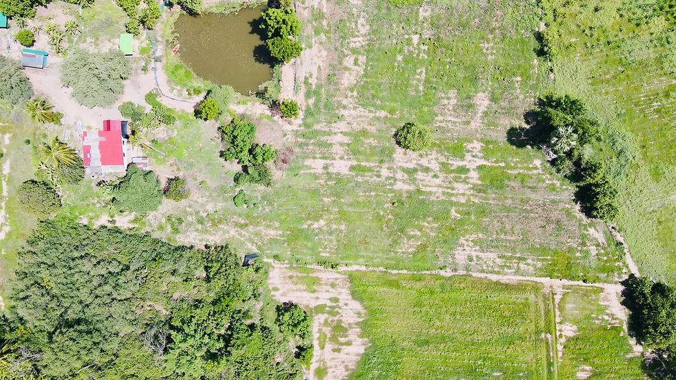 Thumbnail: PJ0015 ที่ป่ามะคาบ