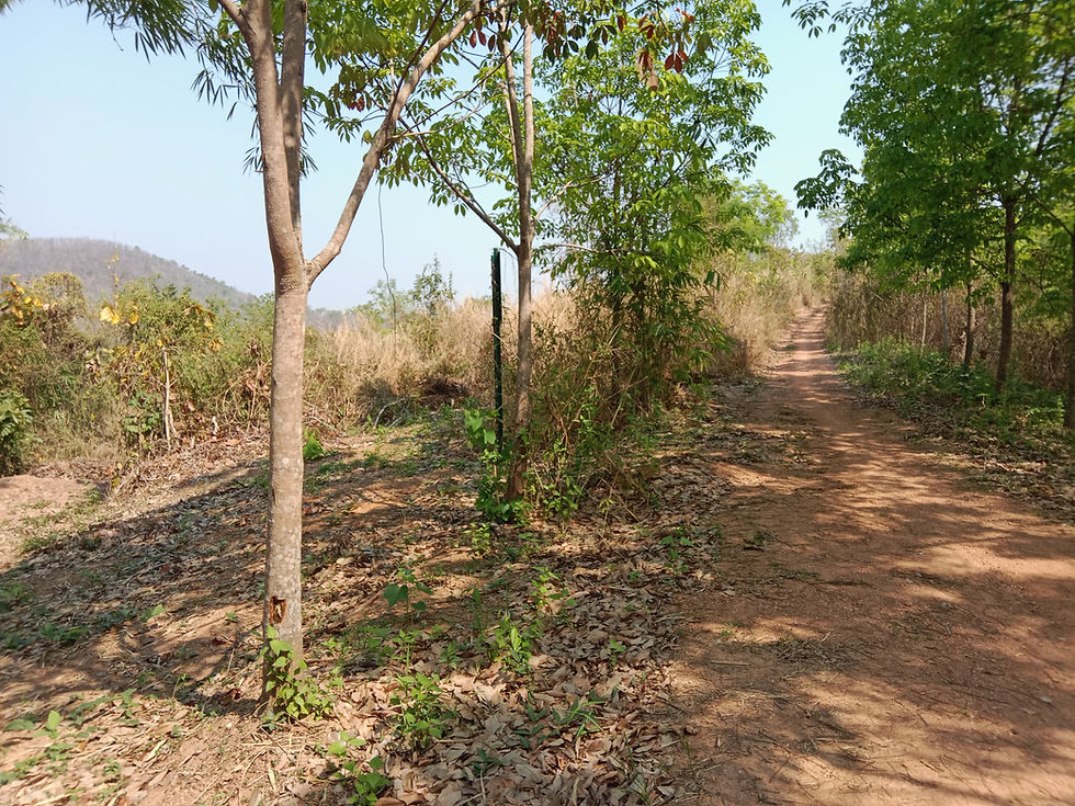 Thumbnail: UT0122 ที่ผาเลือด