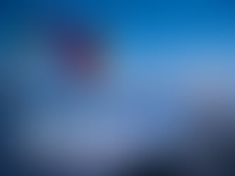 MEEX Mentoring e Educação Executiva