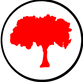 IMG_3393.PNG.png