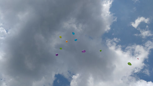 IMG_20180818_141512802.jpg