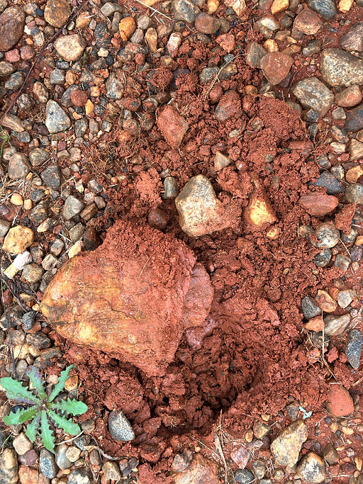 GA red clay Cornelia IMG_2237_edited.jpg
