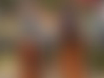 AULAS DE GINÁSTICA ANIMAM DIAS DA POPULAÇÃO DE JAPUÍBA