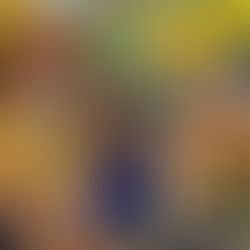 CONFIRA OS REGISTROS DO 3° DIA DO "MACACU FAN FEST"