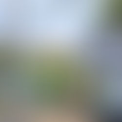 REFORMA DA CRECHE MERCEDES SOARES SEGUE AVANÇANDO