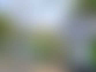 REFORMA DA CRECHE MERCEDES SOARES SEGUE AVANÇANDO