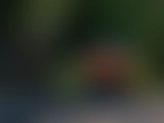 PARCERIA ENTRE PREFEITURA E GOVERNO DO ESTADO VIABILIZA ASFALTO PARA A SERRA DO BERTHOLDO