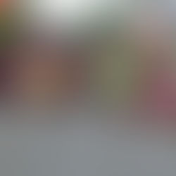 MAIOR EVENTO DE CORRIDA EM SUBIDA DO PAÍS AGITOU O FIM DE SEMANA ESPORTIVO NO MUNICÍPIO