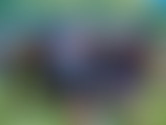 COLONIAL/LÉO MOURA, JAPUÍBA E PARQUE VENEZA SÃO CAMPEÕES DO MUNICIPAL DE BASE