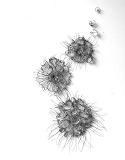 Les étendues Tissu 2