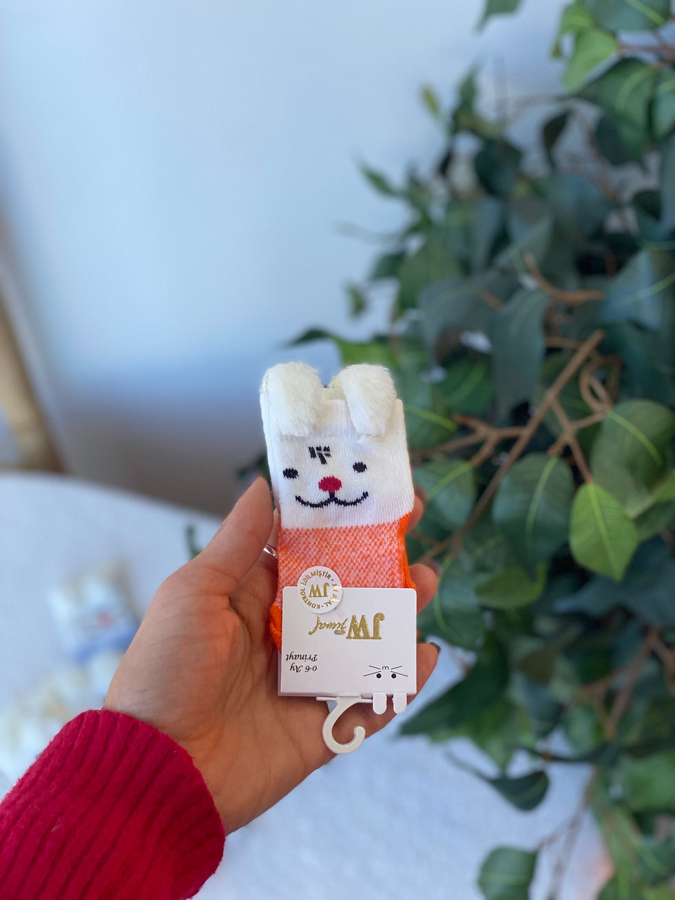 Thumbnail: CALZINI CON ANIMALETTI