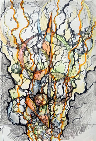 disegno