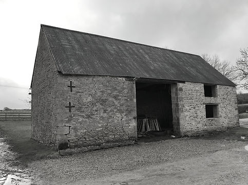 Bat surveys in Chippenham, Bristol, Swindon, Devizes, Bath and surroundings areas of Wiltshire