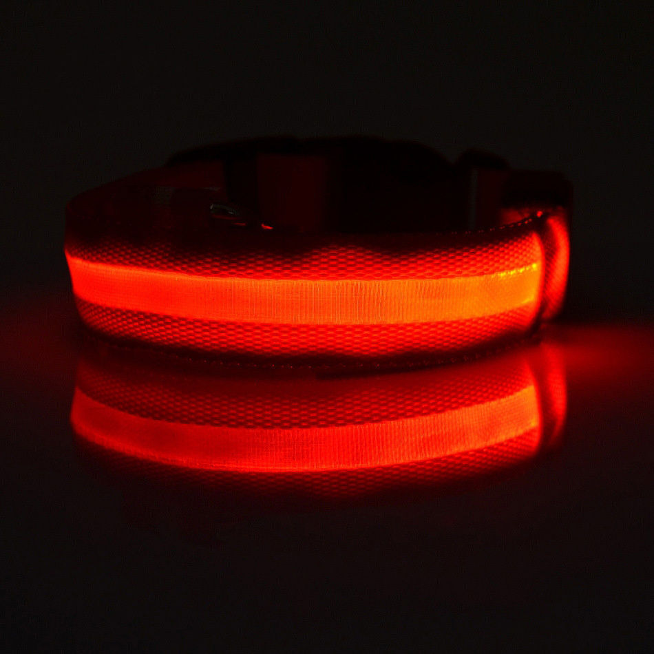 Thumbnail: LED Light Up Dog Collar - USB Rechargeable Night Safety Pet Collar