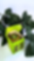 55 vertical.png