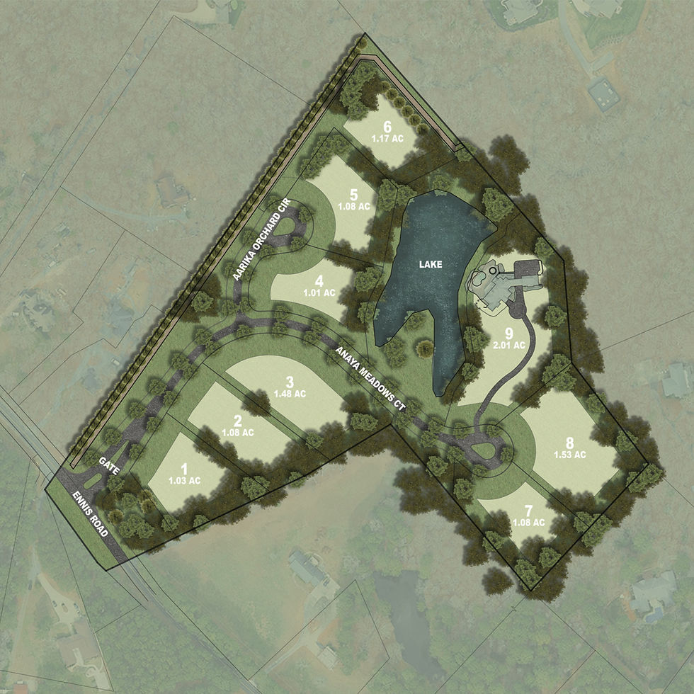 Arya Site Plan-Recovered copy_edited.jpg