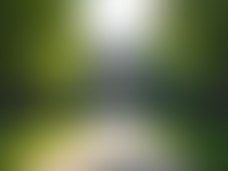 尾道市立大学女子寮の魅力と大学女子寮の利点