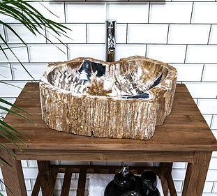SHOP-PETRIFIED-SINKS (1).jpg