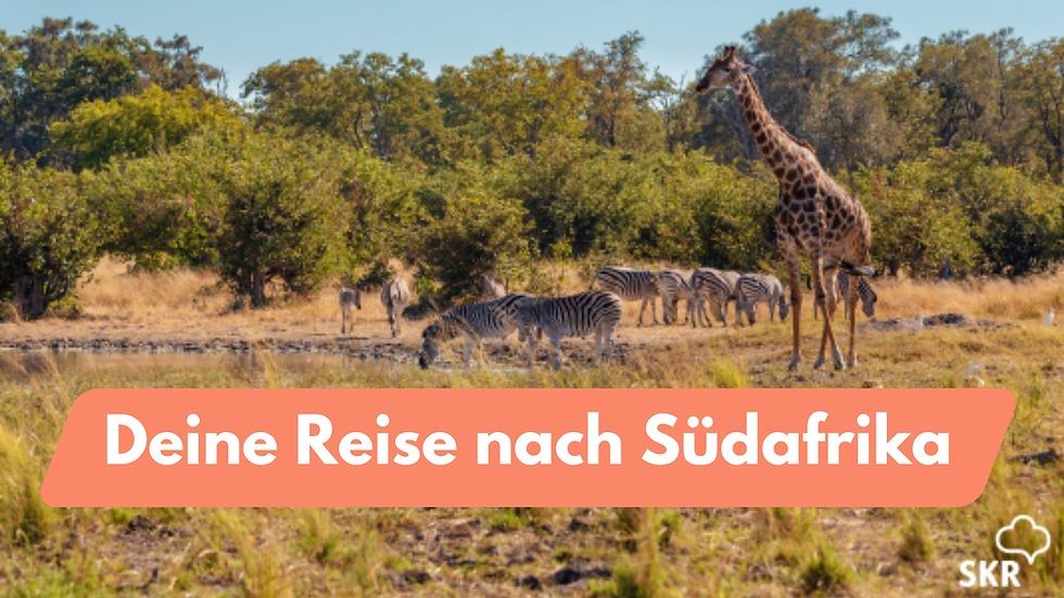 Südafrika „Sternstunden“: Meet5 geht auf Safari