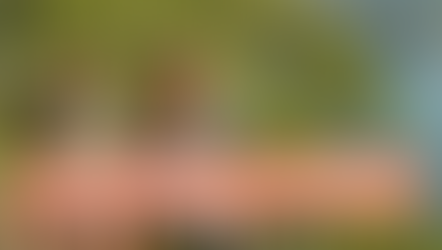 Neue Pfade, neue Bekanntschaften: Meet5 & Wikinger Reisen starten gemeinsam durch!