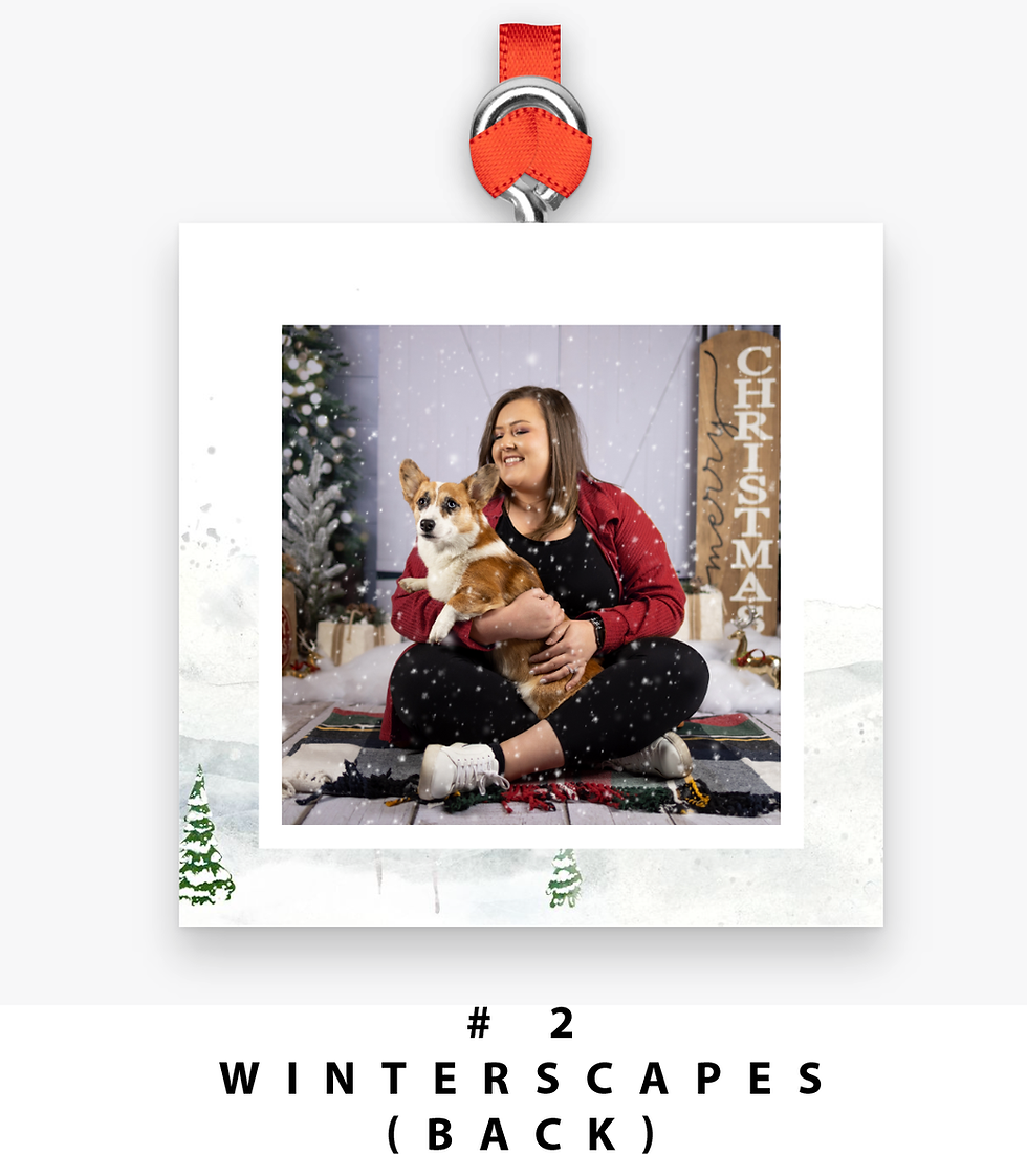 Thumbnail: Bamboo Christmas Ornament