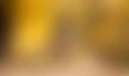 German shepherd dog running on autumn leaf trail with tree in background, smiling happily