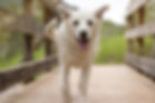 298A1421-SMALL_edited.jpg