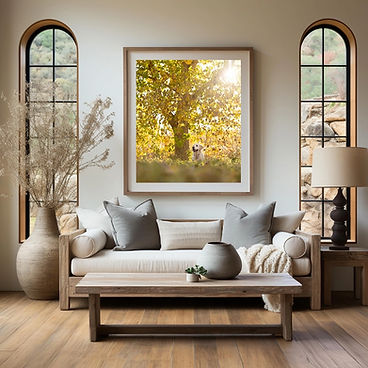 Beautiful home with white couch and windows and framed picture of labrador retriever puppy under a fall tree in colorado