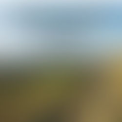 Life's Perfect Guide