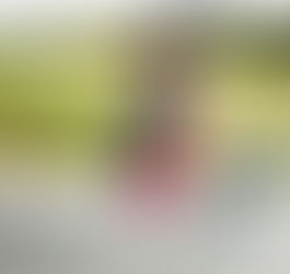 Workouts in the Park