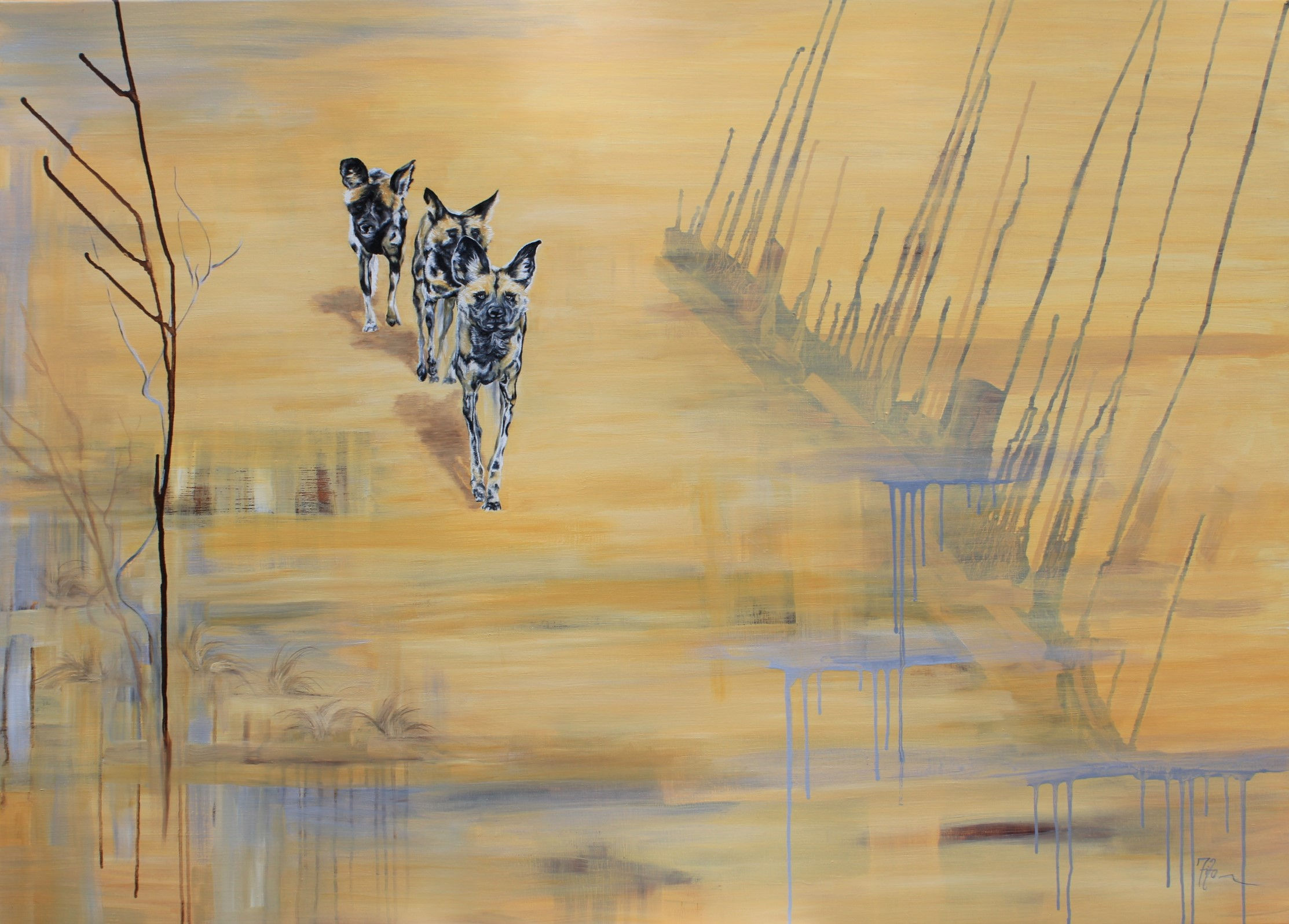 Searing Heat - African Wild dogs