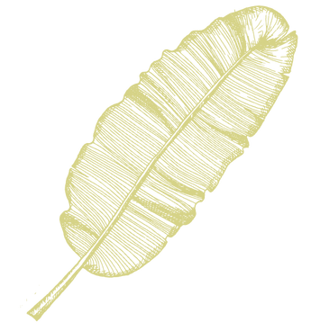 Baitong on wheels_Web-15.png