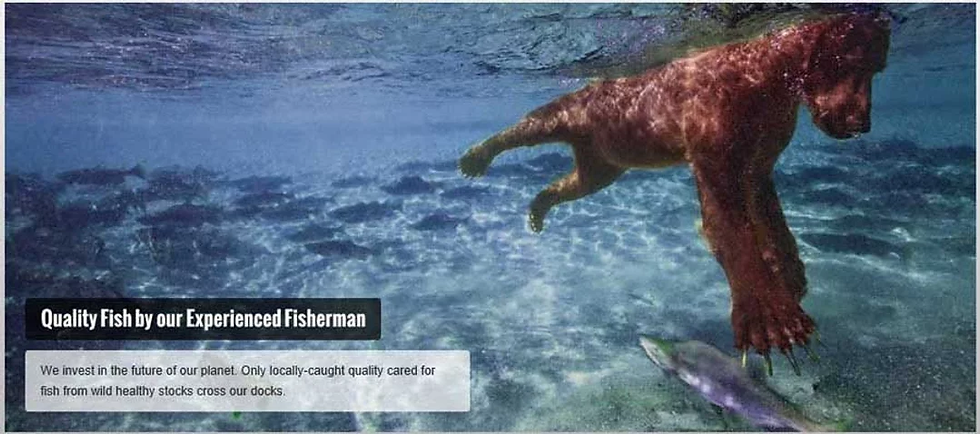 Bear catches wild Alaskan salmon and other seafood for our fish processing.