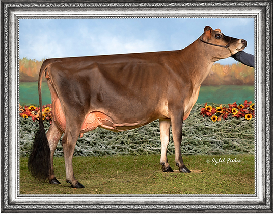 Untitled design (1).png