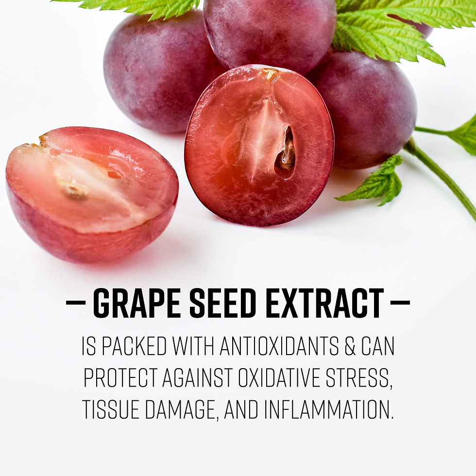 Vibrant Health