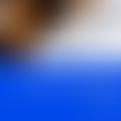 Why Due Diligence Reports are Essential in Business Transactions: Standard Structure for Unknown Narrative