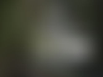 Berufliche Auszeit und Raum für Neues - Interview mit Aurel Hosennen