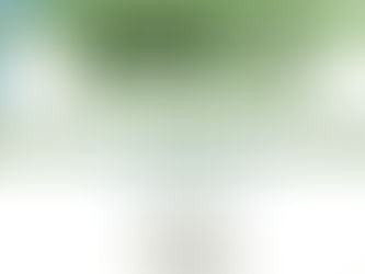 PFK kauri connections art competition