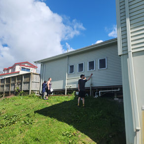 Join the Kaipātiki Hornet Hunt!