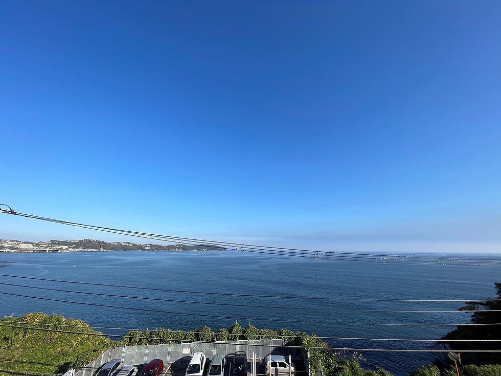 熱海国道沿いのオーシャンビュー
高台平坦地の希少な立地