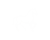 Pferd lineart_transparent.png
