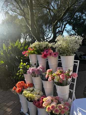 Flower Bar Arizona Rental